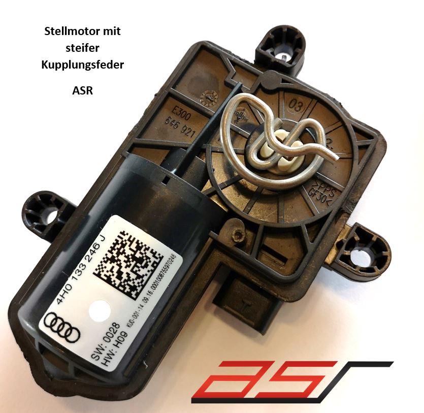Stiff Clutch Spring (Küster)